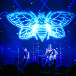 Landmvrks - 12.12.2025 Schlachthof Wiesbaden