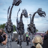 Besucher - M'era Luna 2016 Hildesheim