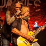 deaddaisies_SB18_27