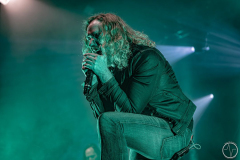 The Halo Effect 2025 Frankfurt